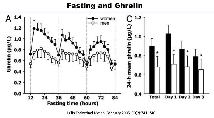 Ghrelin5.jpg