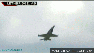 3403686.gif