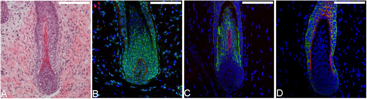 www.pnas.org