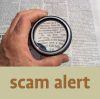 scam.jpg