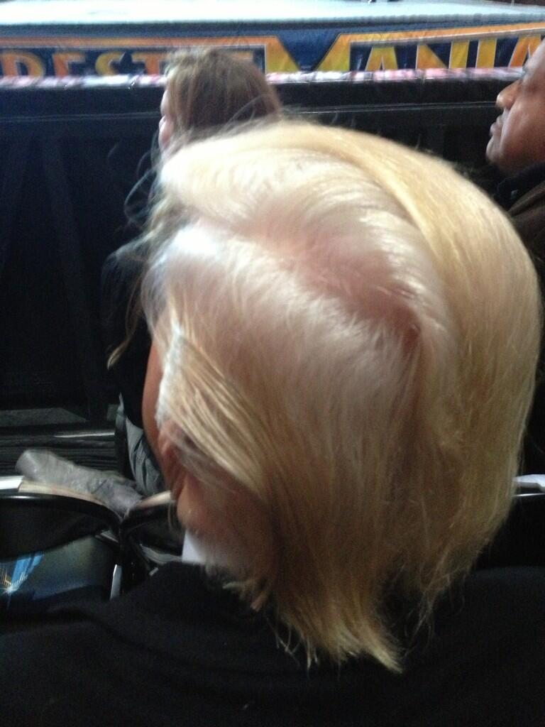 Donald_Trump_hair_from_above_and_behind.jpg