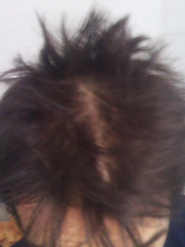 hair08.jpg