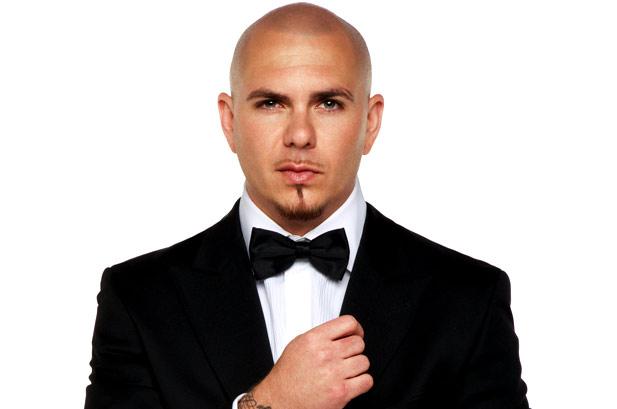 500573-pitbull_Ace-Buhr_617_409.jpg