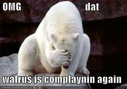 funny_pictures_polarbear_face_palm_OMG_pics-s500x353-21542-580.jpg