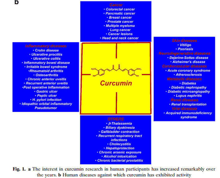 curcumin.png