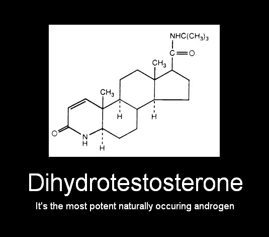 Dihydrotestosterone.png